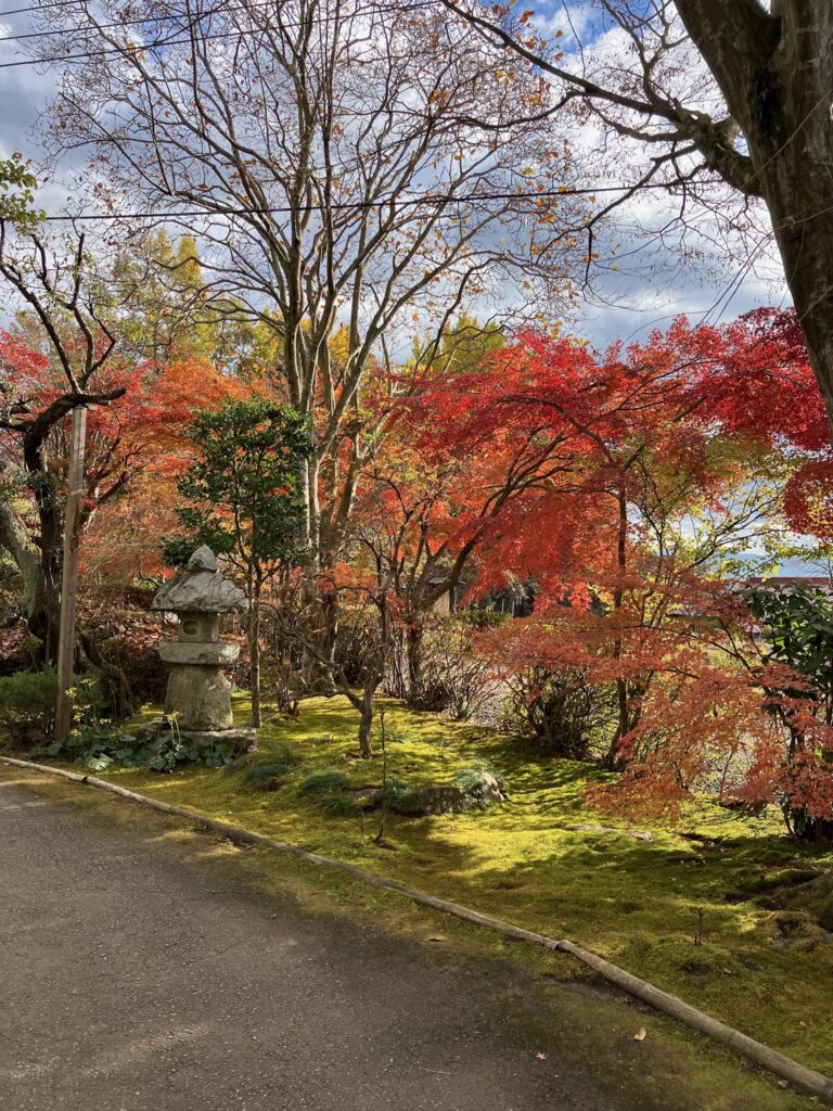 紅葉