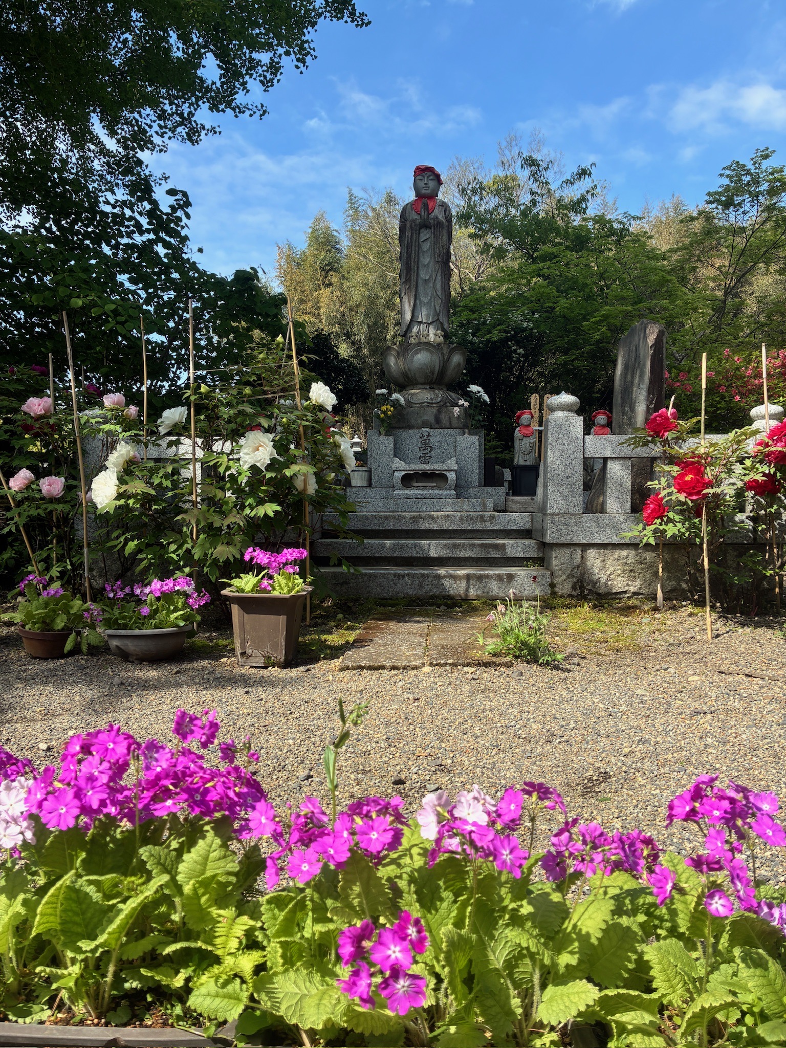 花の寺という環境
